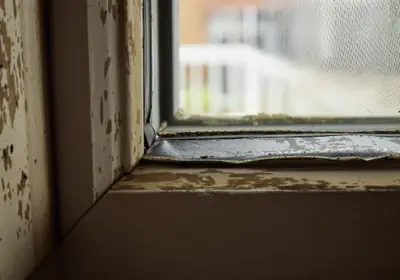 Remplacement des joints d'étanchéité d'une fenêtre